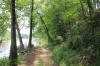 Little Missouri River Land for Sale Ouachita Forrest Arkansas