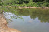 Little Missouri River Land for Sale Ouachita Forrest Arkansas